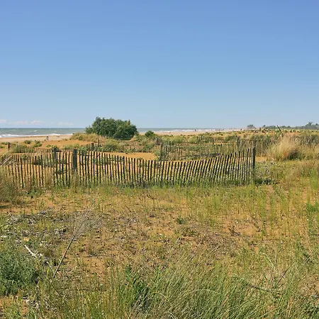 Luminous Beachside Flat-beahost