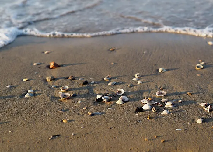 Luminous Beachside Flat-beahost Lejlighed *