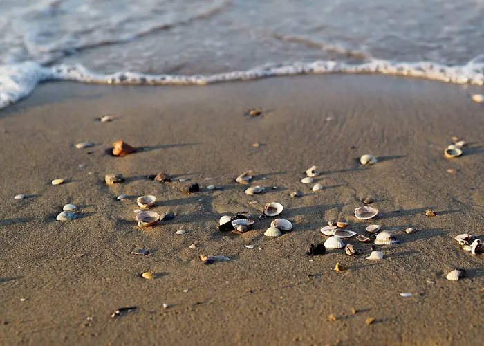 Luminous Beachside Flat-beahost *